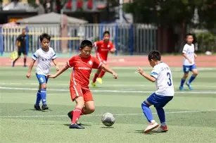 视频,体育礼仪教,育启动,米兰体育,米兰体育官网,米兰体育官方,米兰体育下载