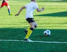 黄金股,同类资金流,出超,米兰体育,米兰体育官网,米兰体育官方,米兰体育下载