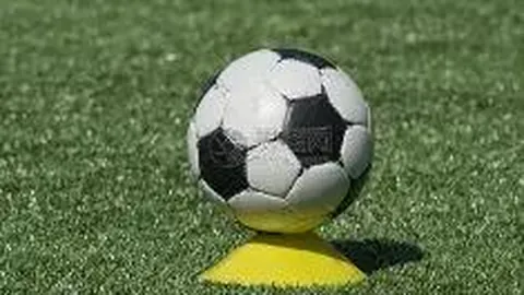 米兰体育 产品 091217 pfa